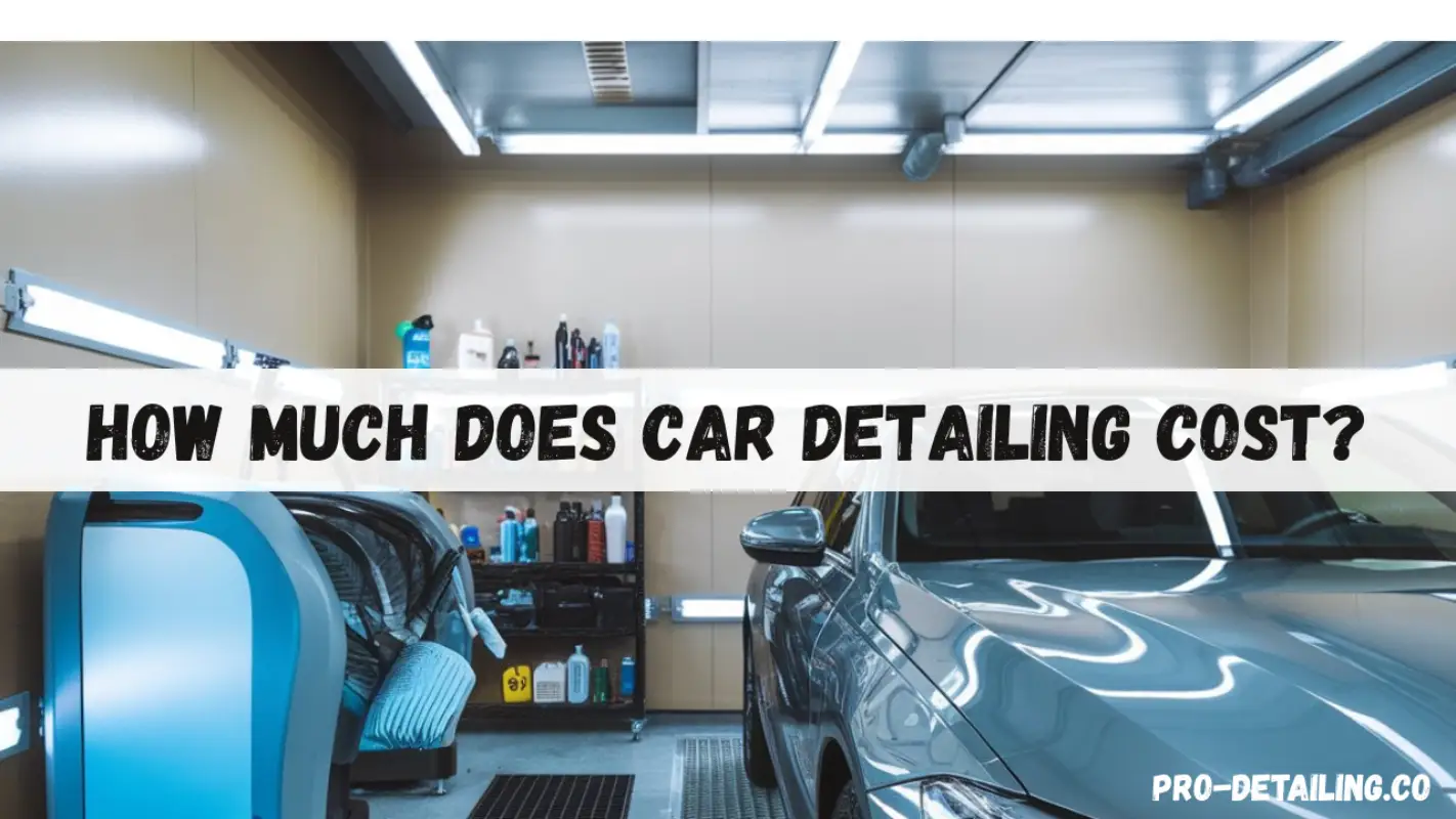 how much does car detailing cost